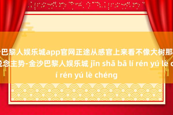 金沙巴黎人娱乐城app官网正途从感官上来看不像大树那样物压东说念主势-金沙巴黎人娱乐城 jīn shā bā lí rén yú lè chéng