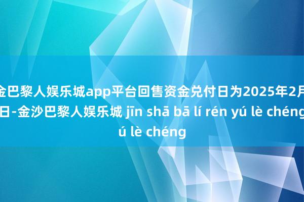 现金巴黎人娱乐城app平台回售资金兑付日为2025年2月11日-金沙巴黎人娱乐城 jīn shā bā lí rén yú lè chéng